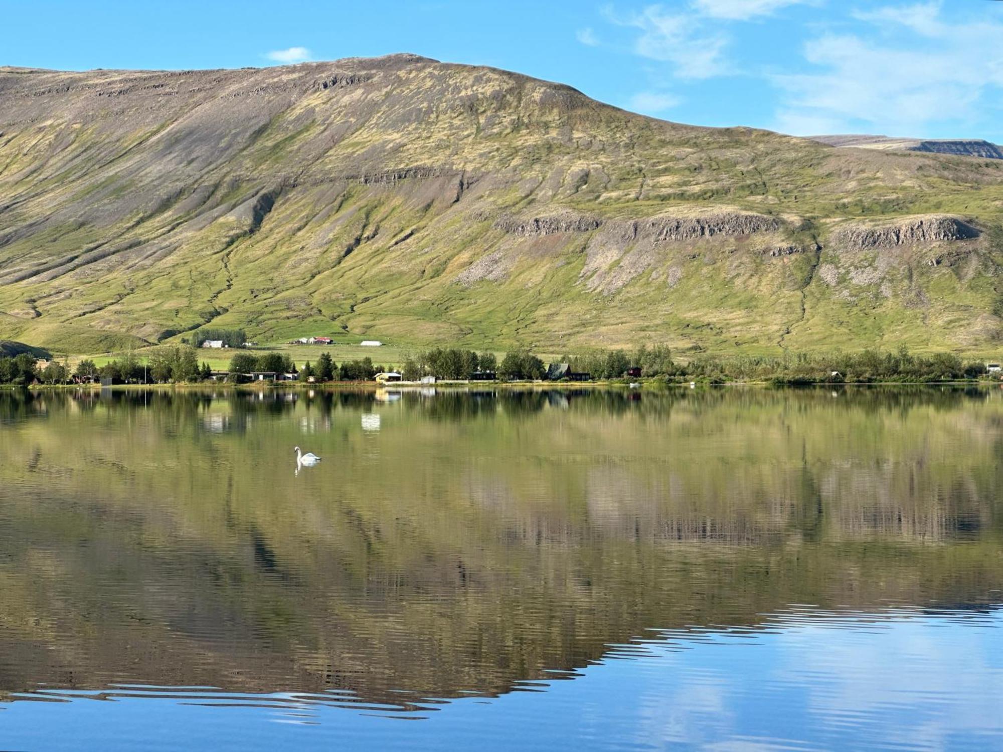 Cosy Lakeview Cabin 45 Minutes From Reykjavik Mosfellsbaer Dış mekan fotoğraf
